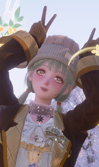 Nikki image