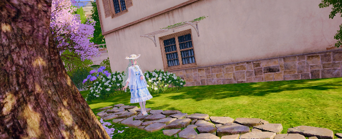 Third image