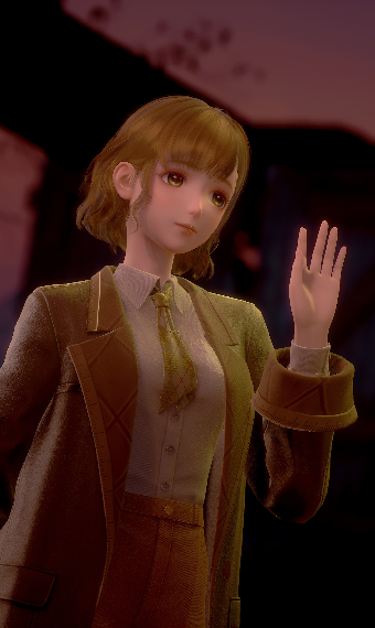 Nikki image