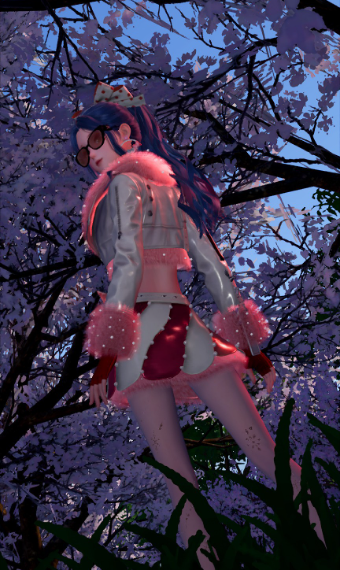 Nikki image