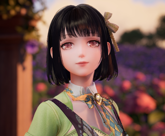 Nikki image