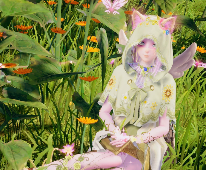 Nikki image