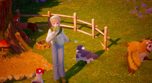 nikki image