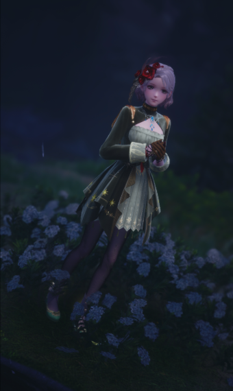 nikki image