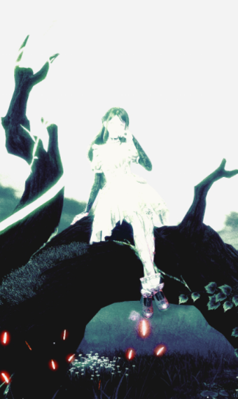 Nikki image