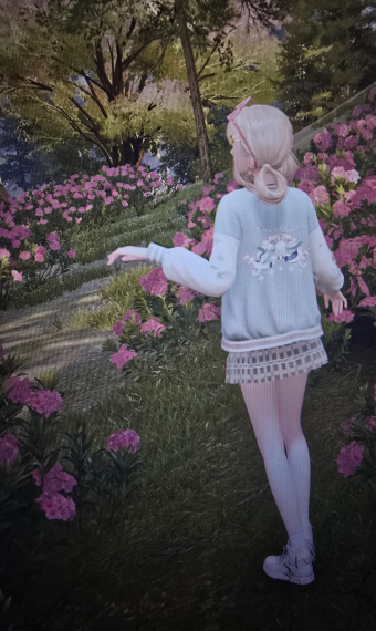 Nikki image