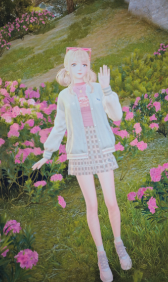 Nikki image