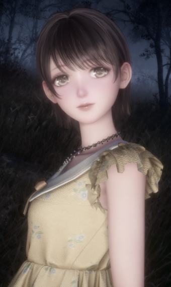 Nikki image