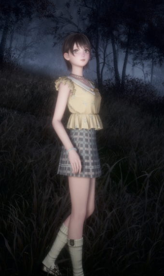 Nikki image