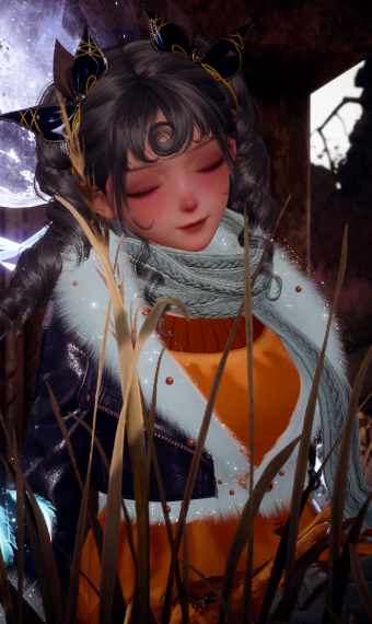 Nikki image
