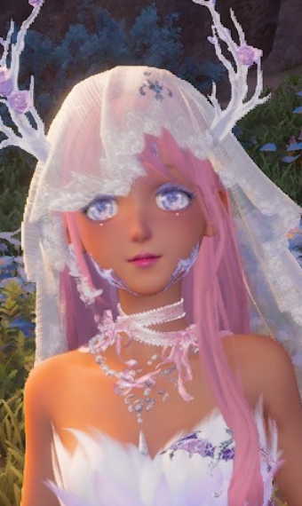 Nikki image