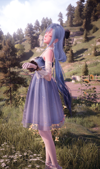 Nikki image