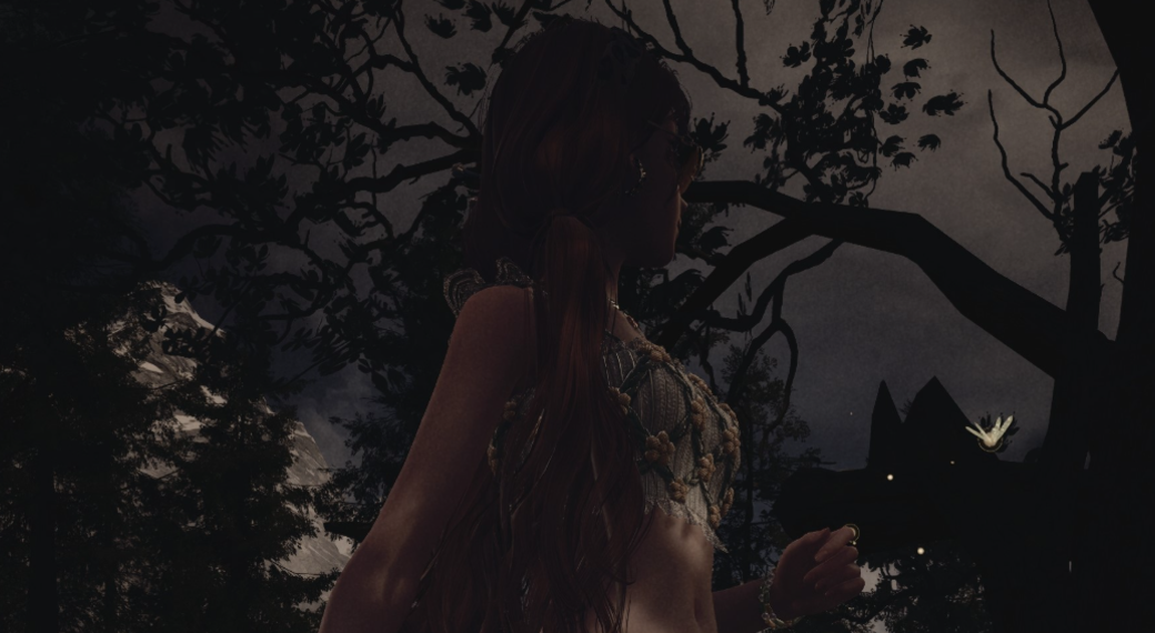 Nikki image