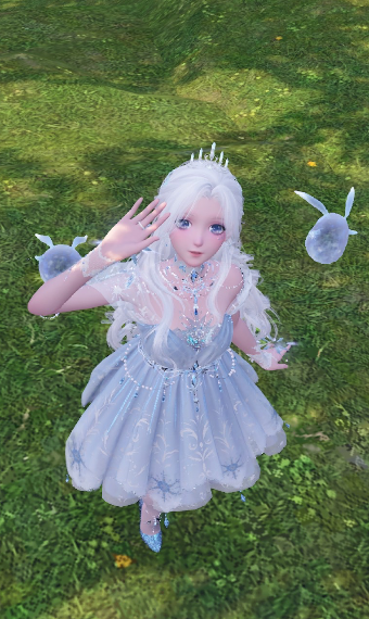 Marcy image