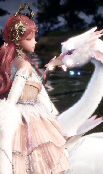 Nikki image