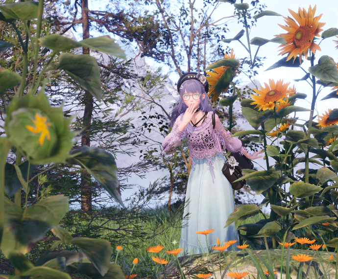 Nikki image