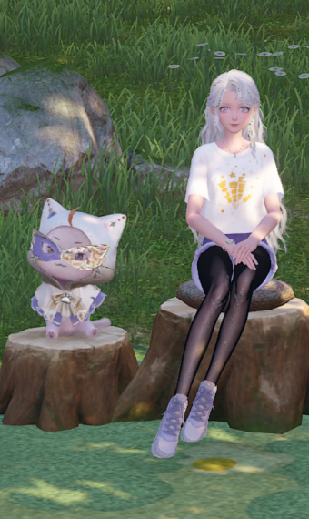 Nikki image
