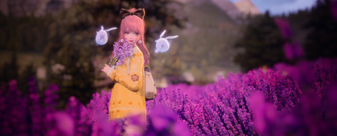 nikki image
