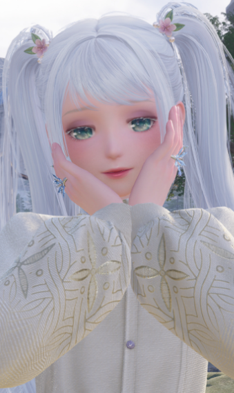 nikki.Name