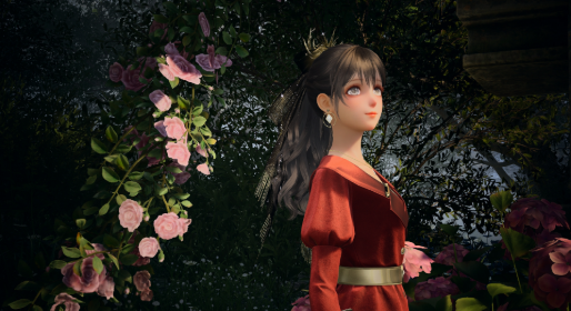 nikki image