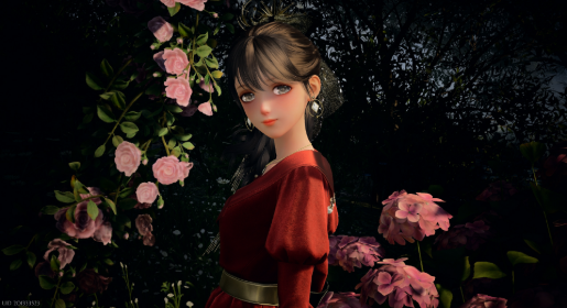 nikki image