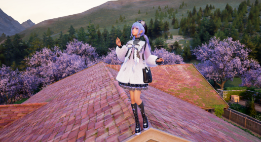 nikki image