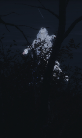 Nikki image