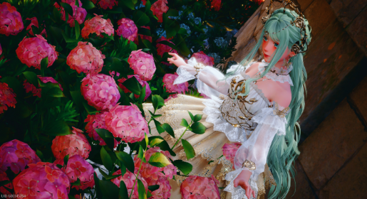 nikki image
