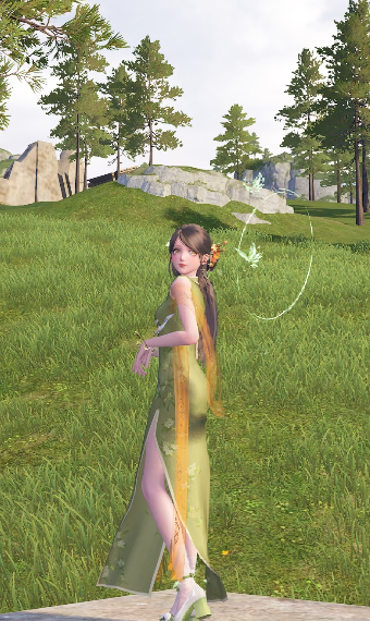nikki.Name
