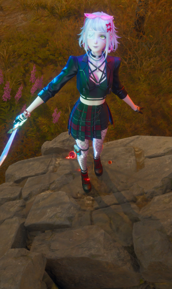 Nikki image