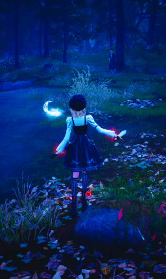 Nikki image