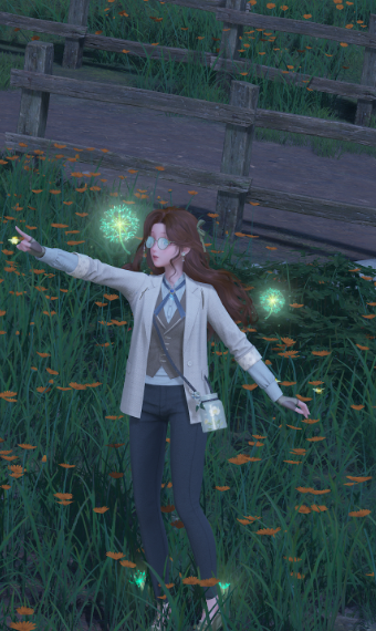 Nikki image