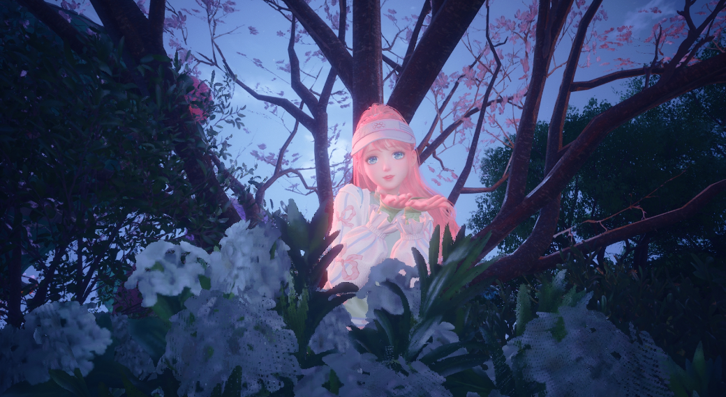 Nikki image