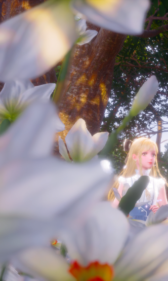 Alice image