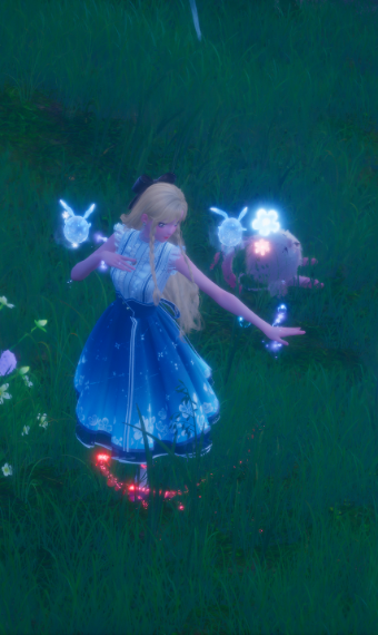 Nikki image