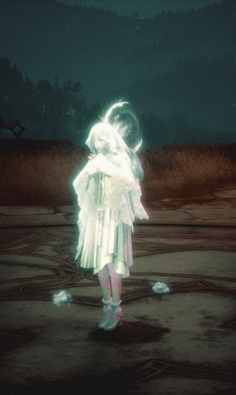 Nikki image