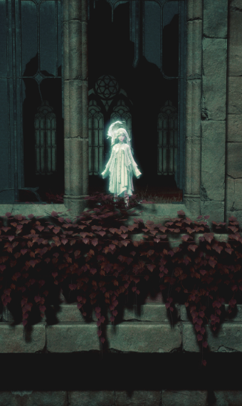 Nikki image