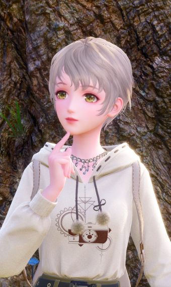 Nikki image